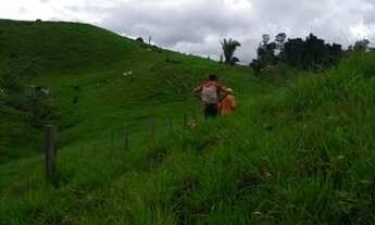 Imagem 6: Fazenda(Colônia