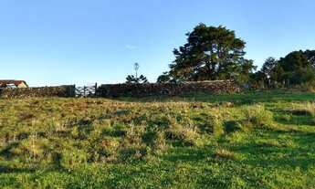 Imagem 4: Ótima fazenda para criação de gado