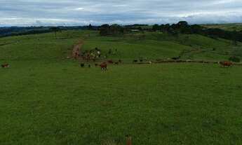 Imagem 3: Ótima fazenda para criação de gado
