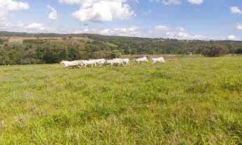 Imagem 7: Sorocaba Região Sitio 12 Alqueires