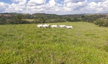Imagem 6: Sorocaba Região Sitio 12 Alqueires