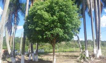 Imagem 5: Sorocaba Região Sitio 12 Alqueires