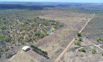 Imagem 7: Fazenda para Venda Rural , Uruçuí
