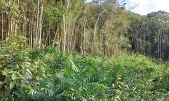 Imagem 4: Realize seu sonho ,1.000m2 em Ibiuna / Piedade 7KVNVD