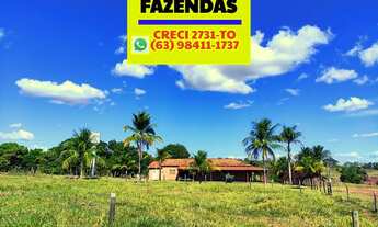 Imagem 7: Fazenda 147 alqueires (712 hectares). Município Wanderlândia Tocantins