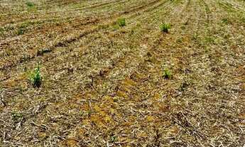 Imagem 3: Lote de 500m2 a venda em Atibaia