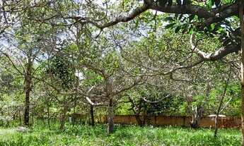 Imagem 3: Terreno próximo a Barragem Santa Helena (Dias D'Ávila