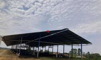 Imagem 7: Sítio com 2 dormitórios à venda, 147000 m² por R$ 3.450.000,00 - Zona Rural - Cajuru/SP