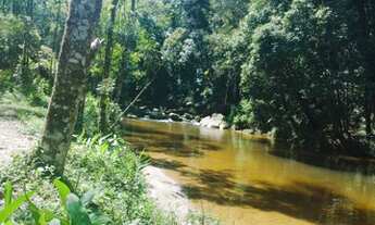 Imagem 7: Fazenda/Sítio/Chácara para venda com 20000 metros quadrados em Taiaçupeba - Mogi das Cruze