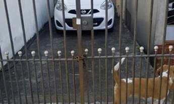 Imagem 3: Terreno na Vila Zelina com 300 m² sendo 10 mts frente x 30 mts fundo por R$: 780.000,00