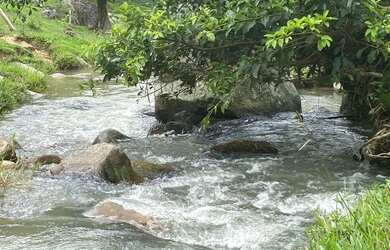 Imagem 7: Sítio em Garcia - Angelina - SC com área de 17 hectares
