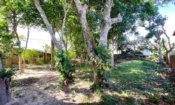 Imagem 6: Terreno no Rio Tavares