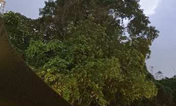 Imagem 2: Apartamento à venda, 300 m² por R$ 14.500.000,00 - Vitória - Salvador/BA