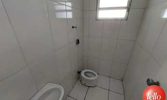 Imagem 7: São Paulo - Prédio Inteiro - Tatuapé