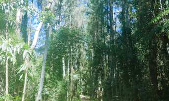 Imagem 2: Fazenda/Sítio/Chácara para venda com 20000 metros quadrados em Taiaçupeba - Mogi das Cruze