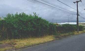 Imagem 4: Ótimo Terreno à Venda com 640 m²- Jardim Menino Deus - Quatro Barras/PR