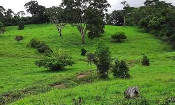 Imagem 2: Terezópolis de Goiás - Chácara