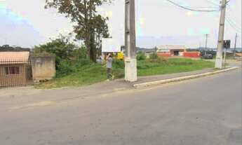 Imagem 3: Terreno para Venda em Quatro Barras, Jardim Orestes Thá