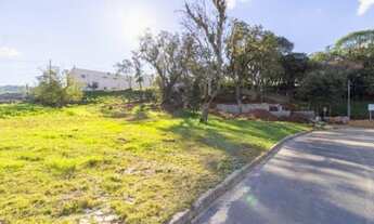 Imagem 3: Terreno à venda, 249 m² por R$ 135.000,00 - Parque Índio Jari - Viamão/RS