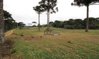 Imagem 7: Área à venda, 252000 m² por R$ 30.240.000,00 - Campo Largo da Roseira - São José dos Pinha