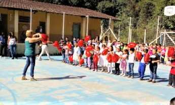 Imagem 7: Terreno 1250 m² excelente localização aclive leve terraplanagem poucas árvores