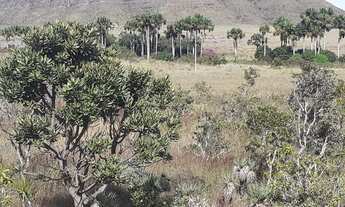 Imagem 4: Chácara Vale Verde - Próximo a Pousada Woodstock e Inácia - Alto Paraíso de Goiás