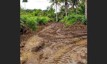 Imagem 2: Itacaré/ Bahia, terreno de 2.500 mts2