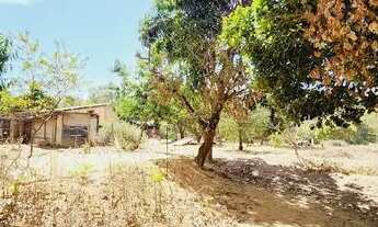 Imagem 6: Excelente Chacara com 2 Hectares, no Capão cumprido