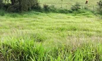 Imagem 3: Lote/Terreno para venda possui 340 metros quadrados