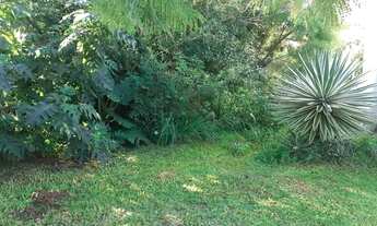 Imagem 3: Terreno para Venda - 448m², 0 dormitórios, Ipanema