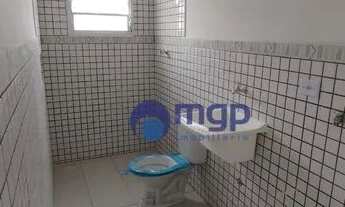 Imagem 6: Apartamento com 1 dormitório para alugar, 24 m² por R$ 800/mês - Vila Guilherme