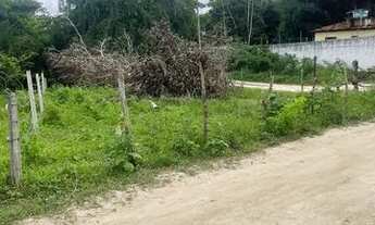 Imagem: Terreno próximo à estrada de Mangue Seco
