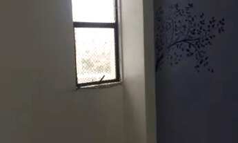 Imagem 7: Aluguel Apartamento com 3 dormitórios