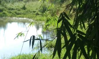 Imagem 5: Lindas fazendinhas com 20.000 m². Município de Cordisburgo