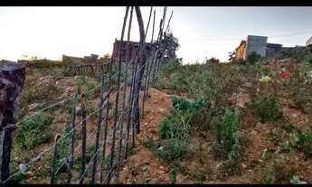 Imagem 4: Vendo terreno no alto cardeal