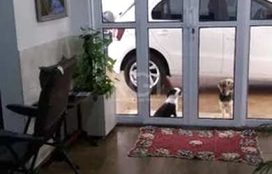 Imagem 5: Casa para Venda - 228m², 3 dormitórios, 3 vagas - Teresópolis