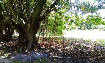 Imagem 4: Casa para Venda - 600m², 4 dormitórios, sendo 2 suites, 6 vagas - Ponta Grossa