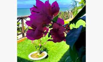 Imagem 4: Casa P/locação temporada/praia de Pirangi do Norte