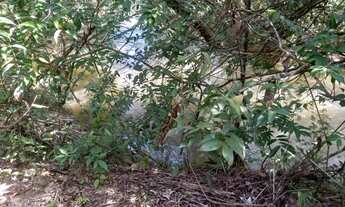 Imagem 7: Excelente chácara com acesso ao rio São Bartolomeu - Aceita proposta