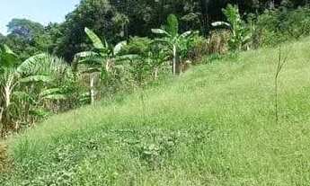 Imagem 6: Sitio Chácara com venda por R$200.000