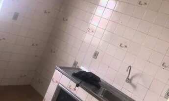 Imagem 5: Alugo casa em parque anchieta