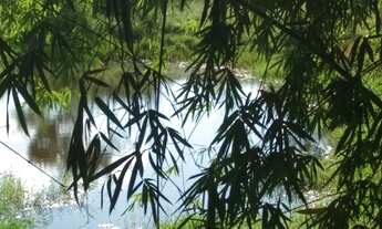 Imagem 2: Lindas fazendinhas com 20.000 m². Município de Cordisburgo