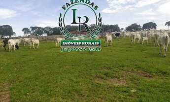 Imagem 6: Fazenda 83.5 Alqueires Vale do Araguaia