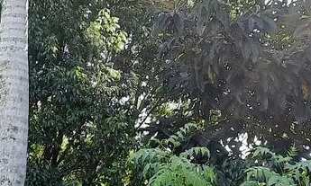 Imagem 6: Vendo terreno de mil metros em Araçoiaba da Serra SP