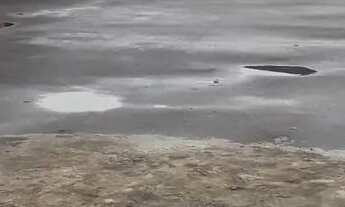 Imagem 7: Terreno vende/aluga com 560 metros e 22 de frente na Lapa!