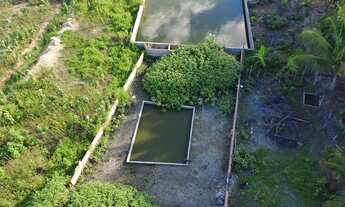 Imagem 3: Sítio em caldas do jorro