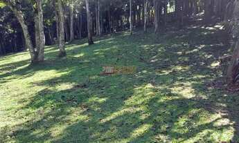 Imagem 3: Terreno no Bairro dos Fincos em São Bernardo do Campo