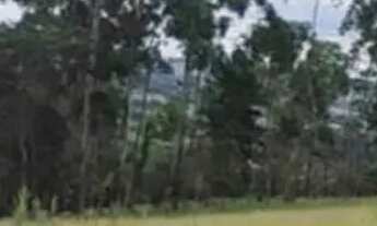 Imagem: Terrenos promocionais na cidade de Ibiúna