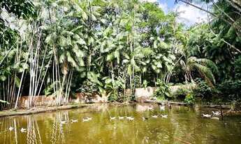 Imagem 5: Sítio ideal para momentos inesquecíveis