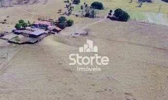 Imagem: Fazenda à venda com 135 hectares (28 alqueires)